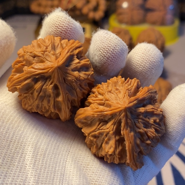 吊坠文玩核桃40野生龙纹三棱