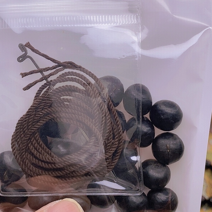 草珠菩提把件云*无患子