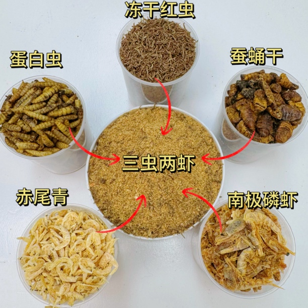 黑坑鲫鱼鲤鱼 散炮饵料专用虾粉蚕蛹粉冻干红虫高蛋白 饵料添加剂