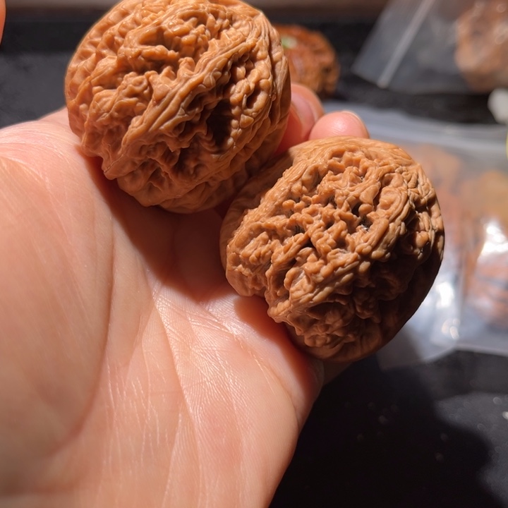 龙脊菩提吊坠大粗筋