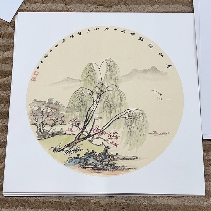 国画仰**空花鸟的翅膀和羽毛的羽毛