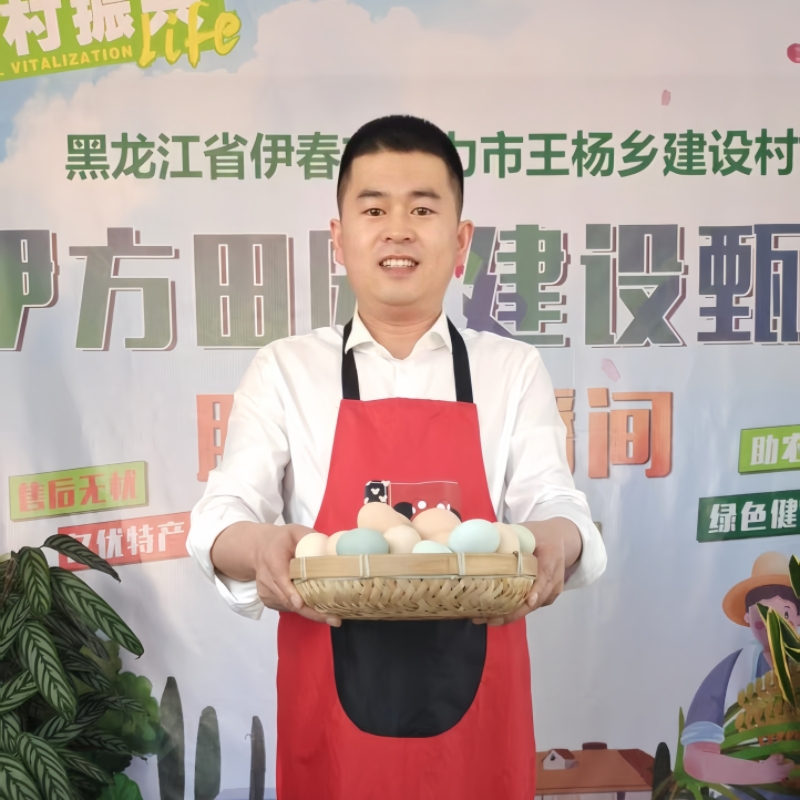 【小郑书记专属】助农产品伊春农村散养溜达鸡新鲜土鸡蛋笨鸡蛋！