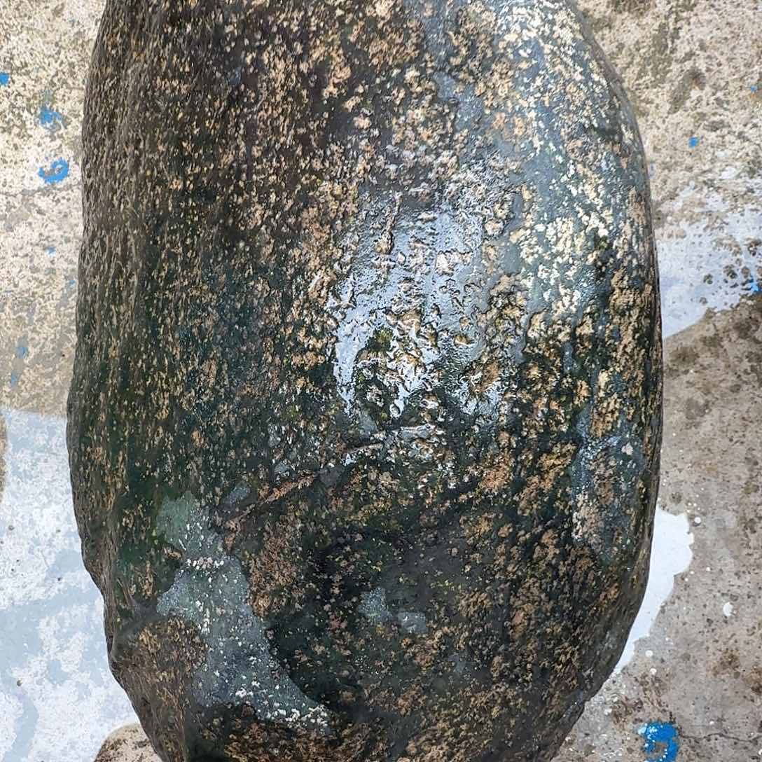 凤***凰蛇纹石玉未镶嵌天然原石摆件藏玉西藏