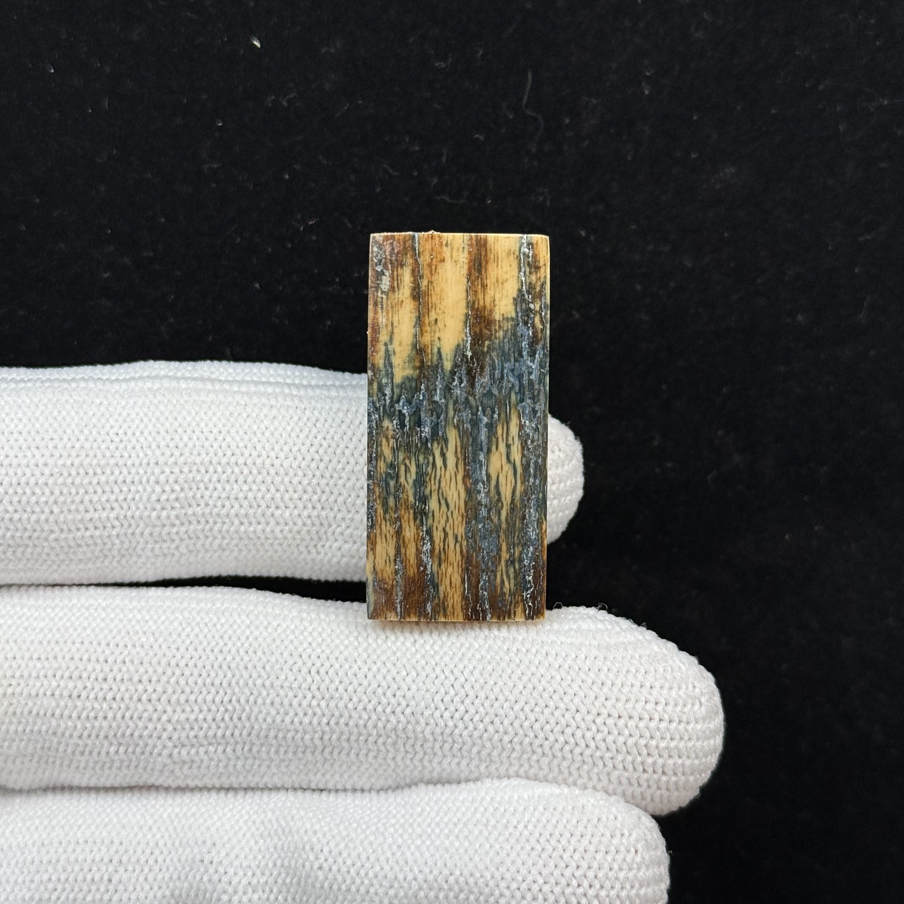 E71-17天然猛犸牙 蓝皮牌 15.6*33.9*7.5mm一物一图假一罚十