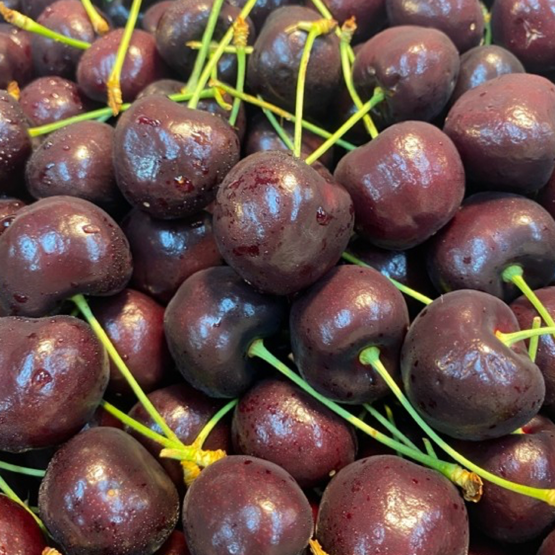 海运智利车厘子桑提娜规格单J净重2斤58元桑提娜智利