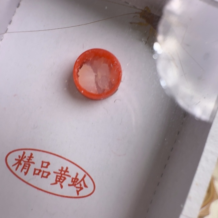 别****一烈焰漂亮好美啊