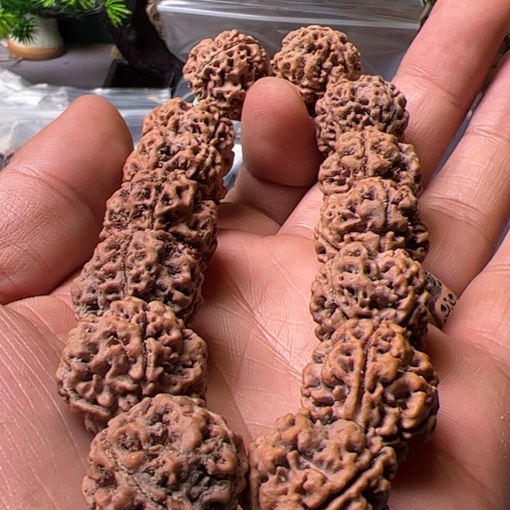 金刚菩提手串21蜂窝4辦头货