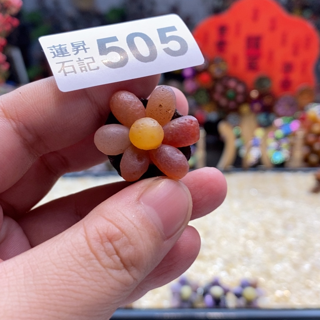 核桃木/黑胡桃（胡桃木）冰*梦505