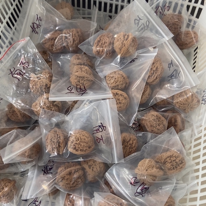 吊坠文玩核桃南疆瑕疵