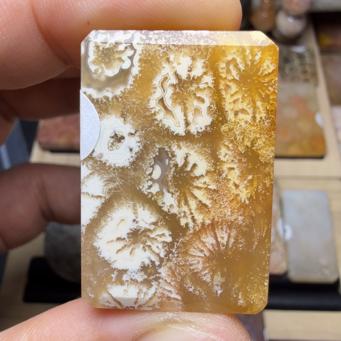 硅化玉未镶嵌纯天然色有机玉石保真色