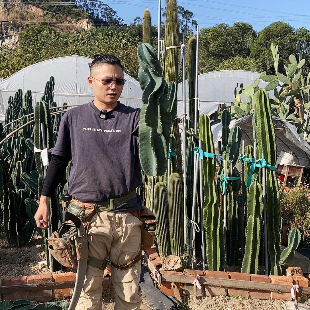 6号拍品。           