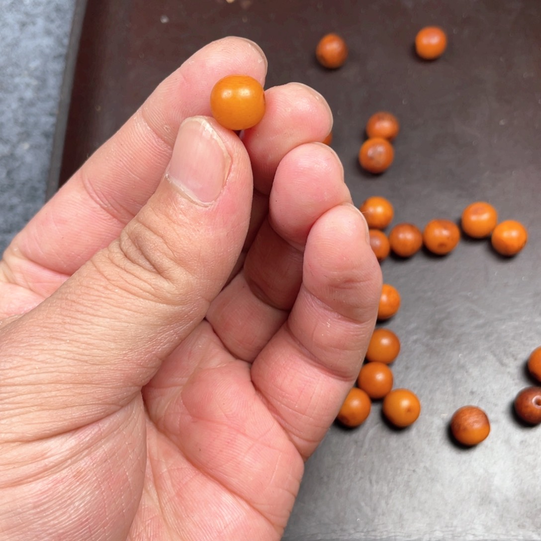 驼骨手串/手链编号48