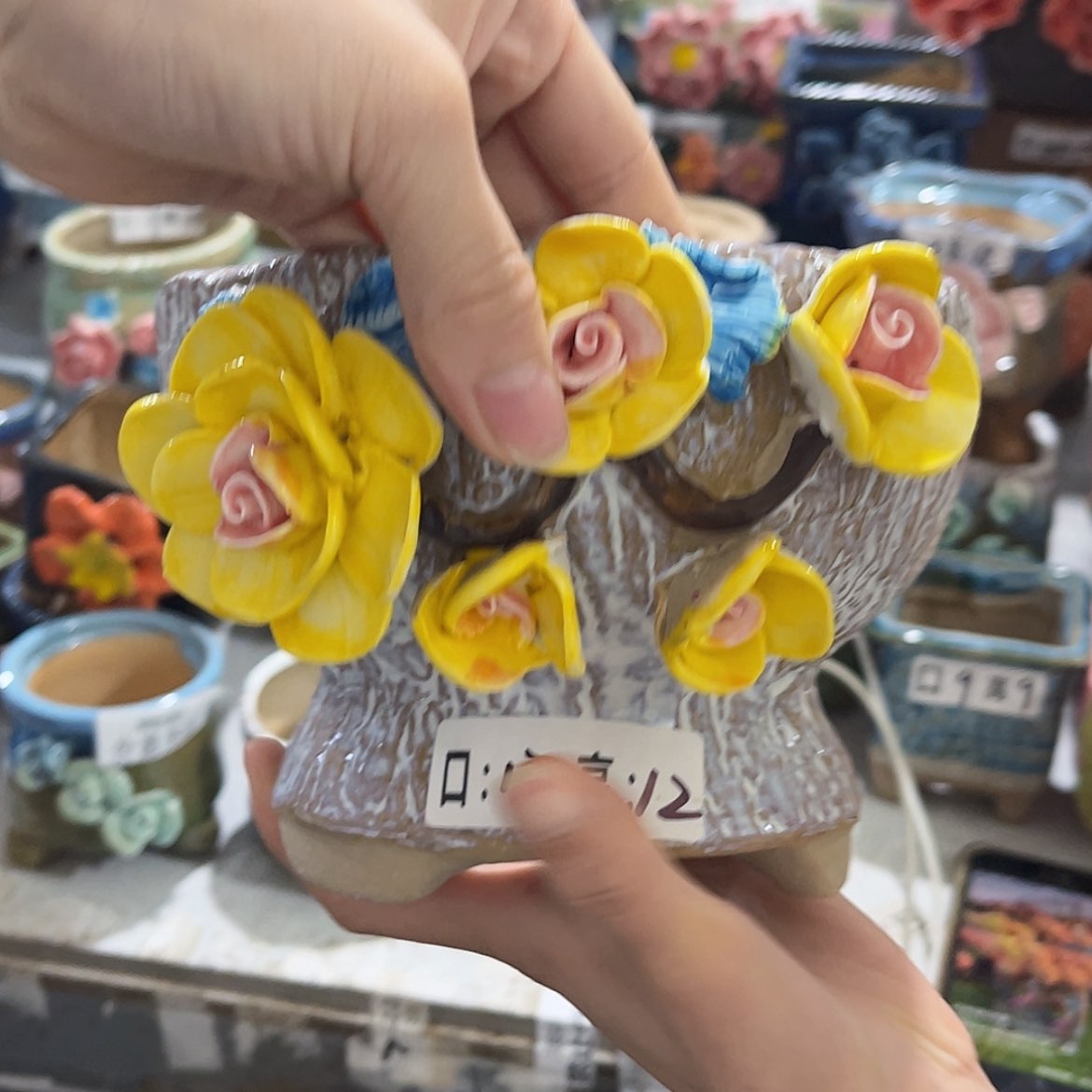 【闪购商品】红陶福利