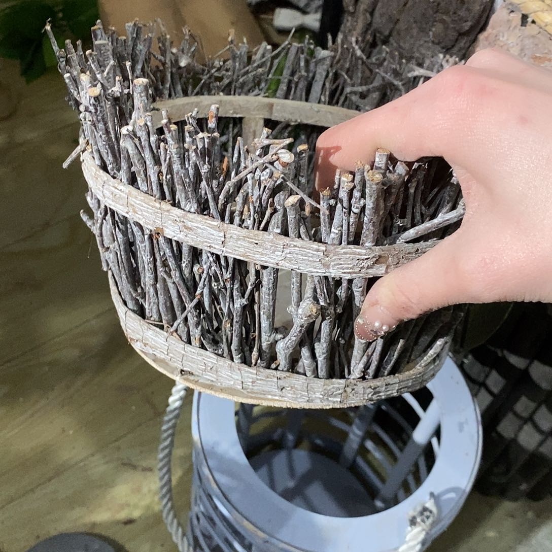 花盆直播间价格一只