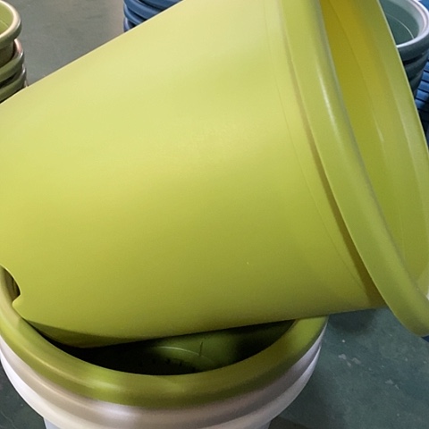 树脂四季8号微瑕果绿无托5个