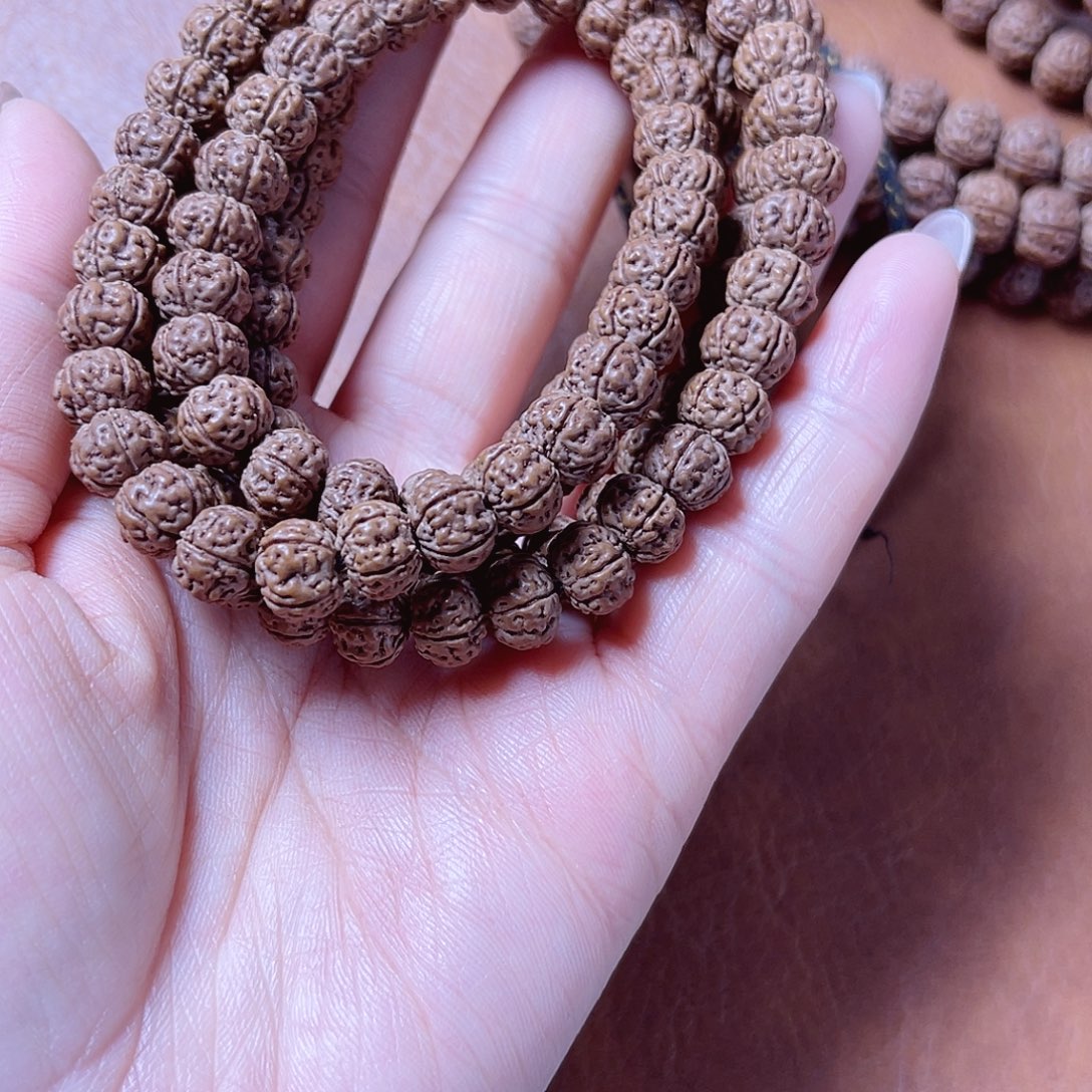 *****菩提老树王10811111