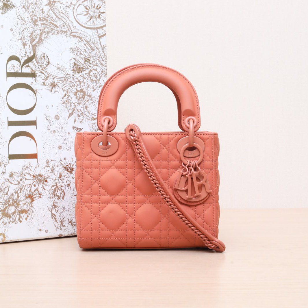 95新 DIOR/迪奥 小花黑黑 戴妃包 三格 橘色 磨砂扣 2019 