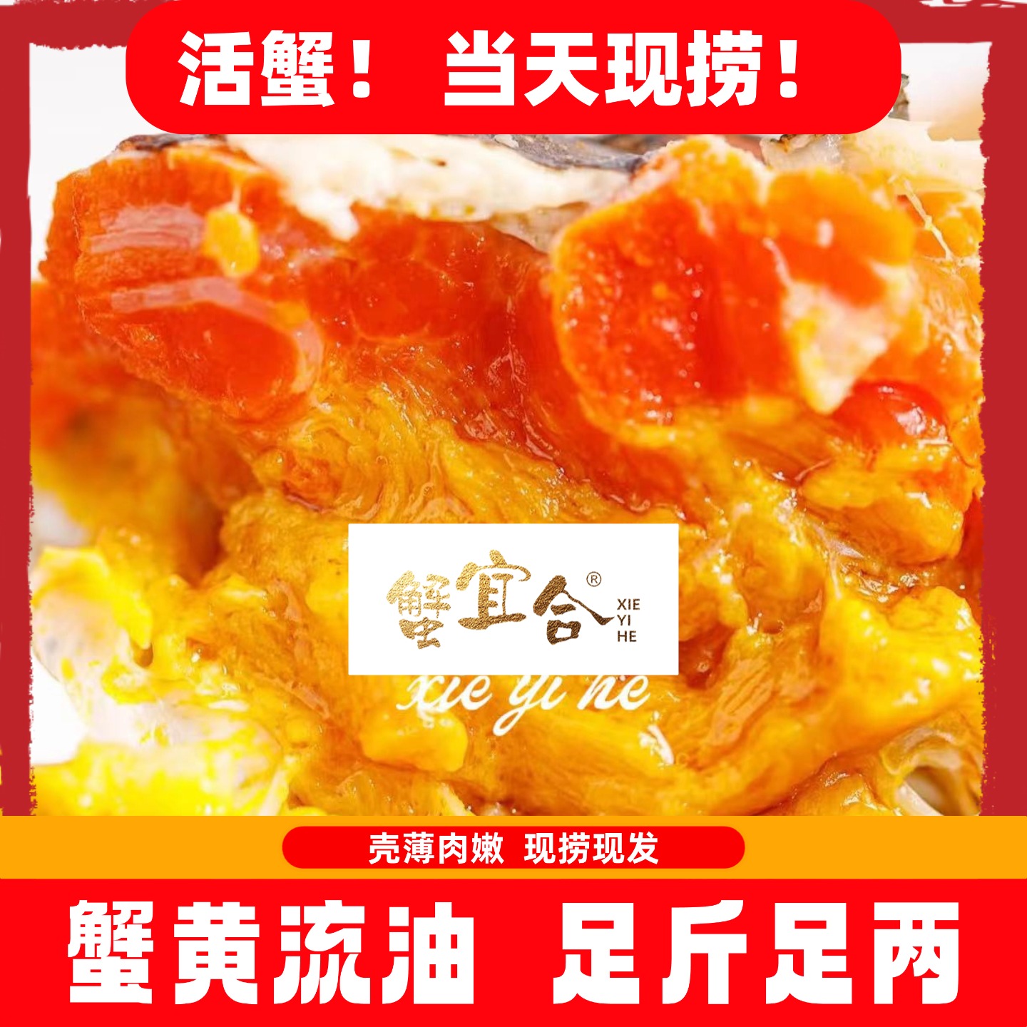 【福利公母活蟹】江苏精品大闸蟹 3两公蟹+3两母蟹 4对8只冷链包邮