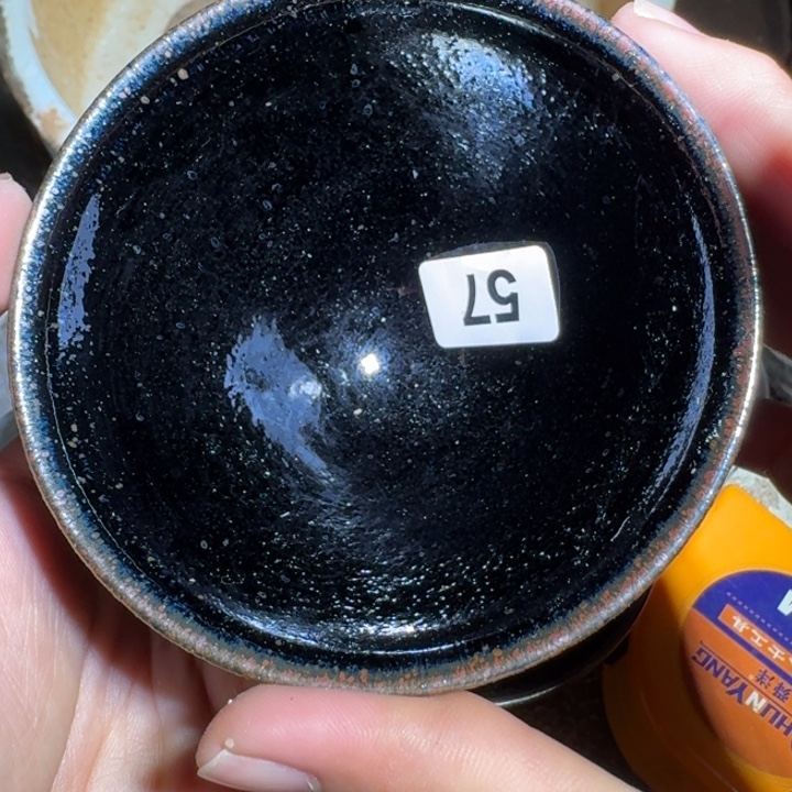 茶盏提出解决农村留守家庭住房