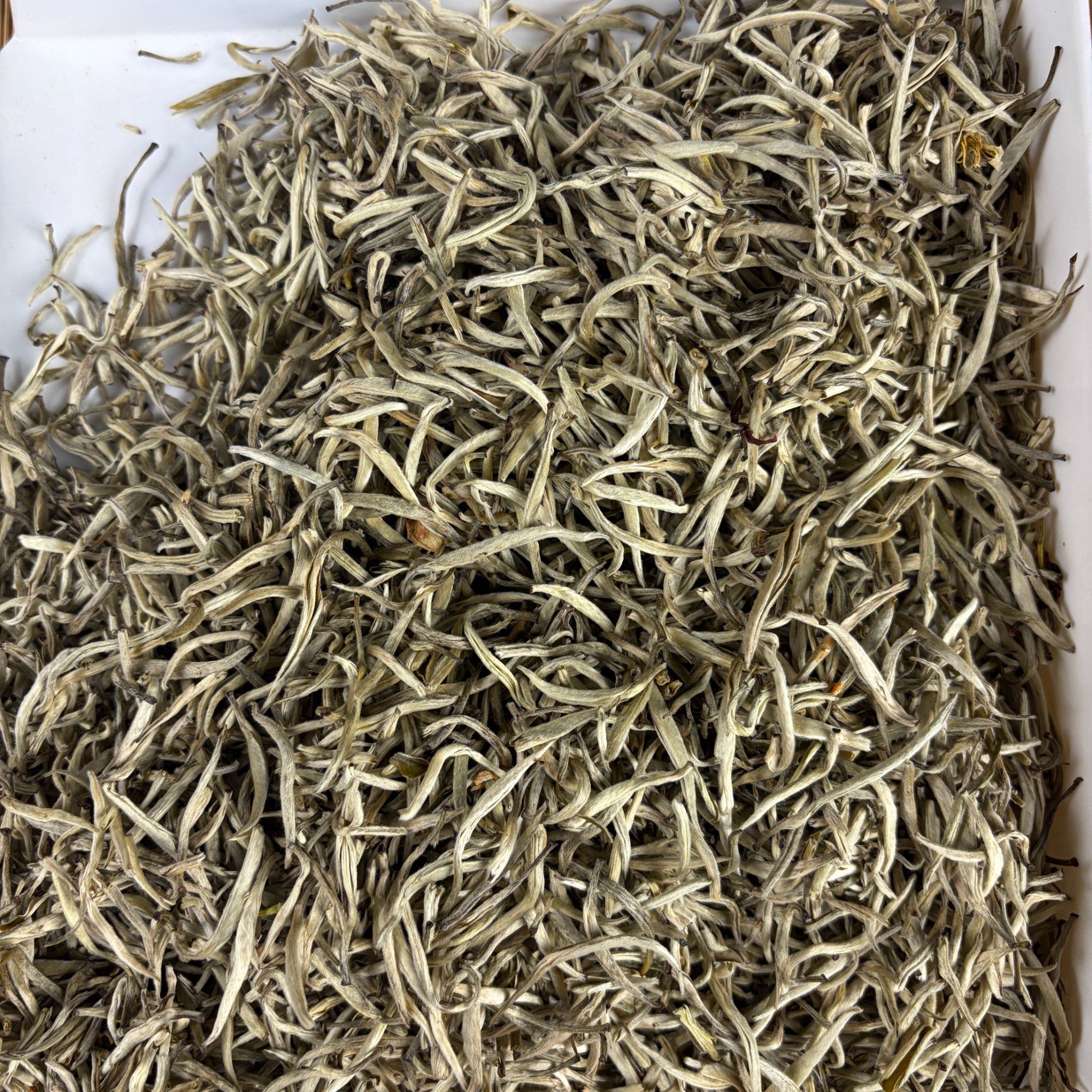 茉莉香妃 根根立 花香四溢 回甘柔和 清香甘甜 老福州茉莉花茶