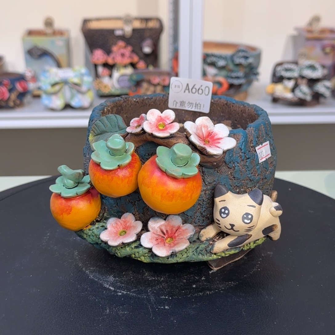 我***后A660【闪购】多肉花盆