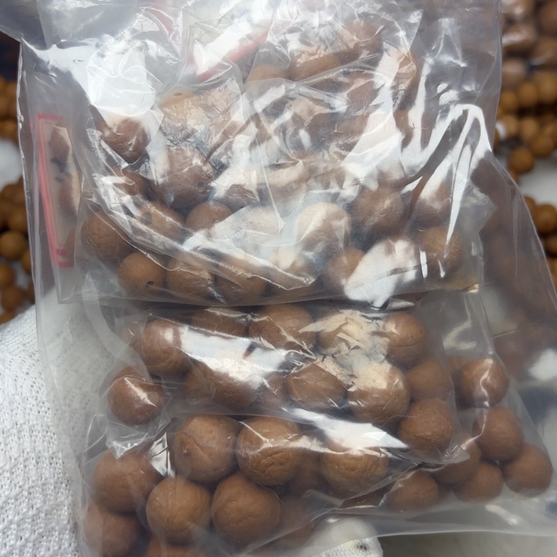 吊坠凤眼菩提散籽一包