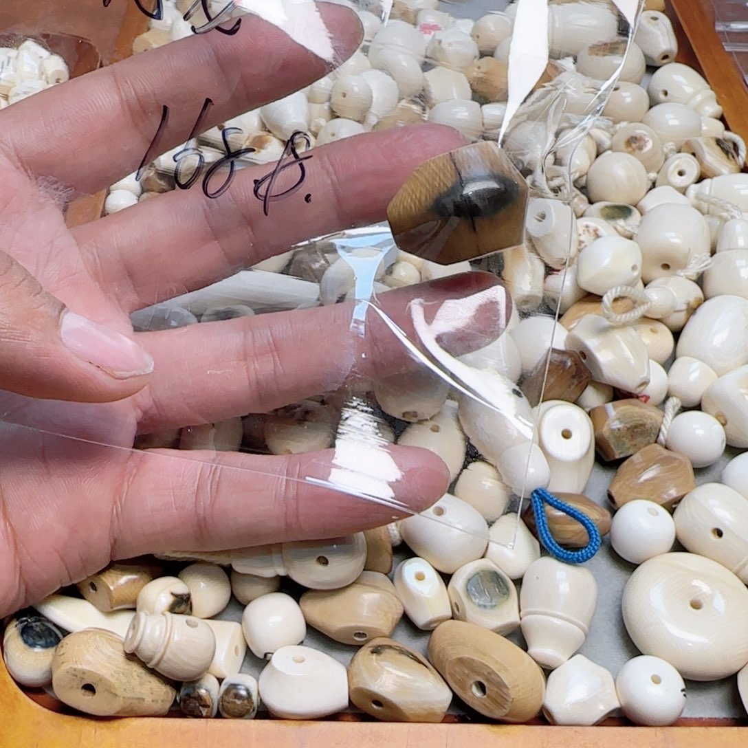 *****菩提籽类恐龙猛犸牙19蓝皮咖啡鲨鱼背