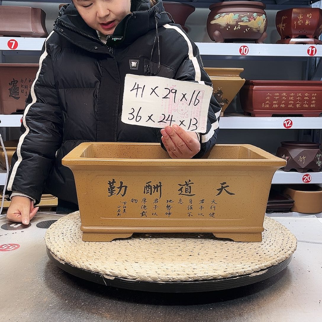 花盆紫砂紫砂花盆