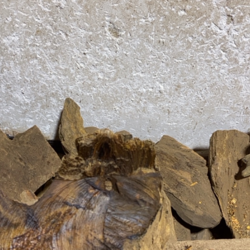 【闪购商品】贡木把件看**缘定制123456789089