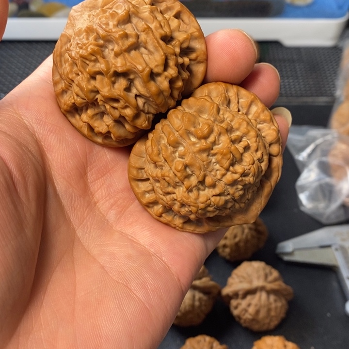 把件桃核5786435678