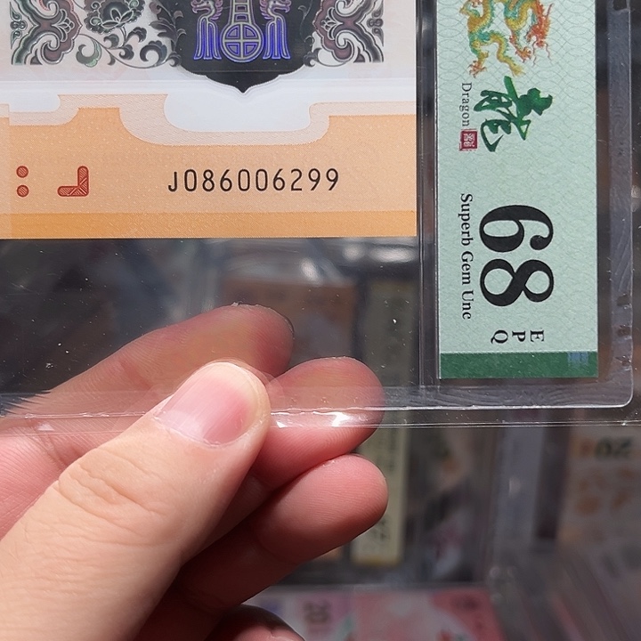 塑料龙钞啊啊啊啊啊啊啊啊