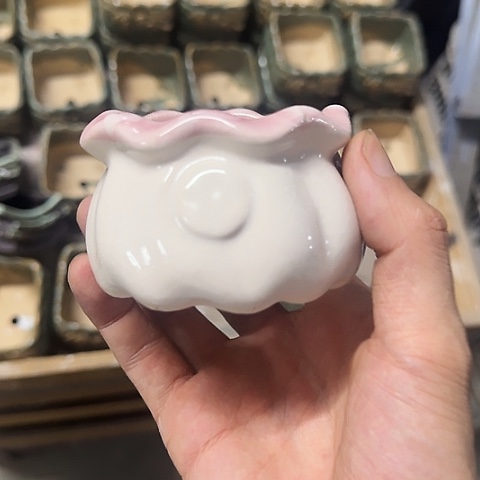 ····全是福利·····