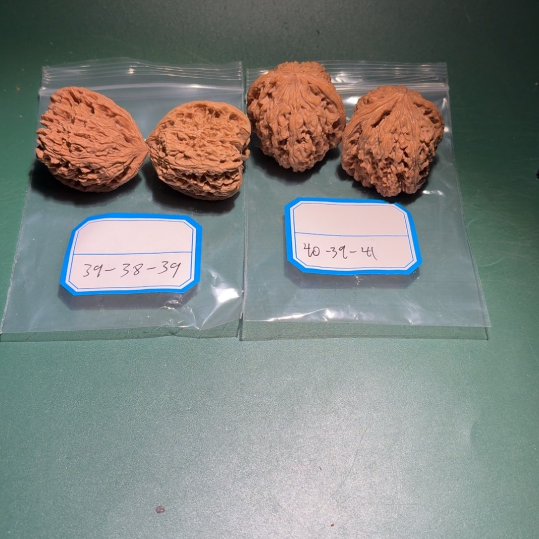 吊坠文玩核桃17号木塞拉丝