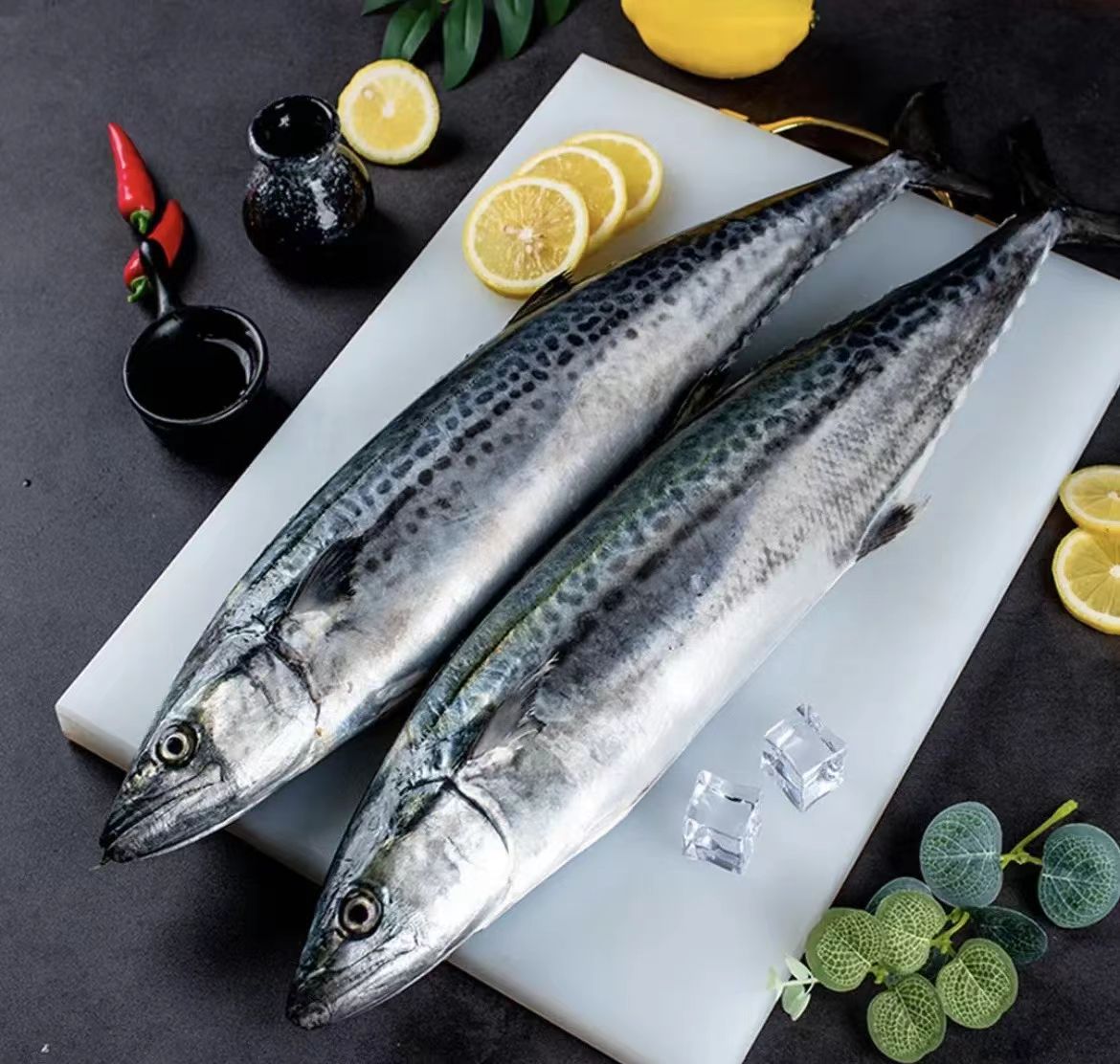 新鲜鱼类直播间称重量链接