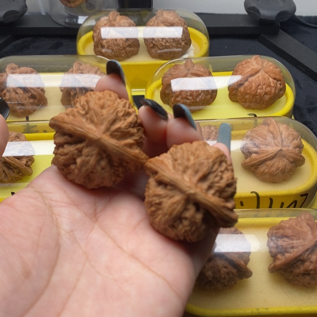 文玩核桃文玩核桃