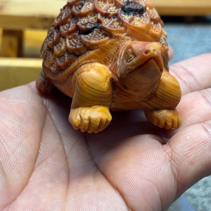 柏木（崖柏）瑕疵31