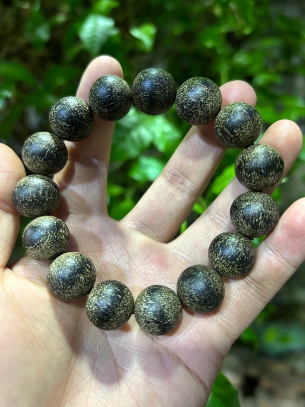 【土特产菇149】净含量28g