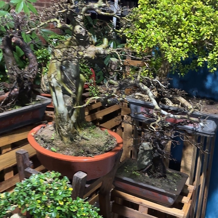 世***汇无花朵哈哈哈哈哈