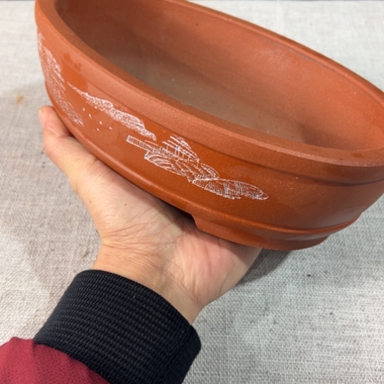 【闪购商品】23，15，5
