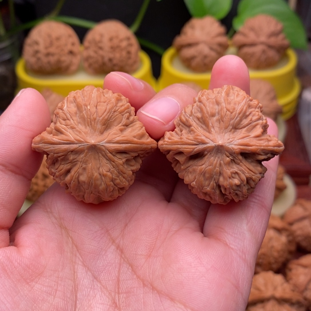 把件文玩核桃36“野生”红皮正磨“大漏”