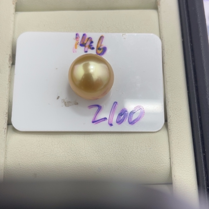 海水珍珠裸珠14.6mm金珠