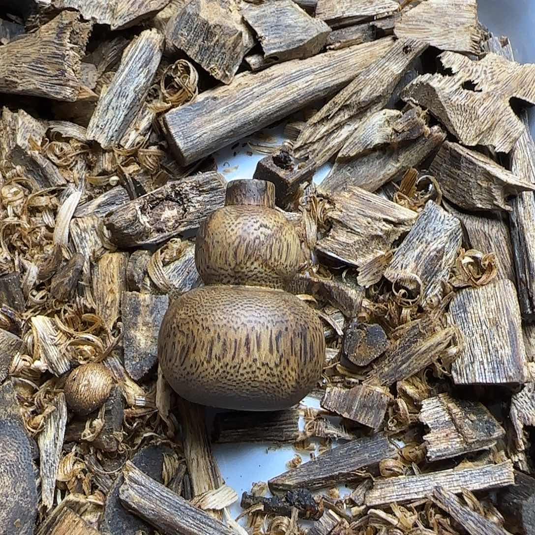 沉香沉香碎屑小葫芦4.4克