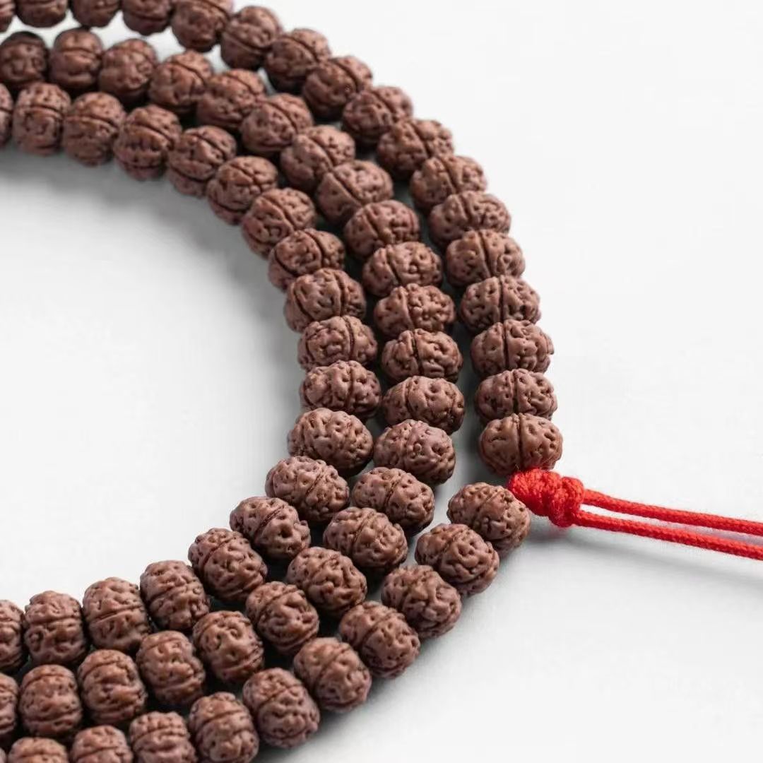 5S级纯血老树王108小金刚菩提