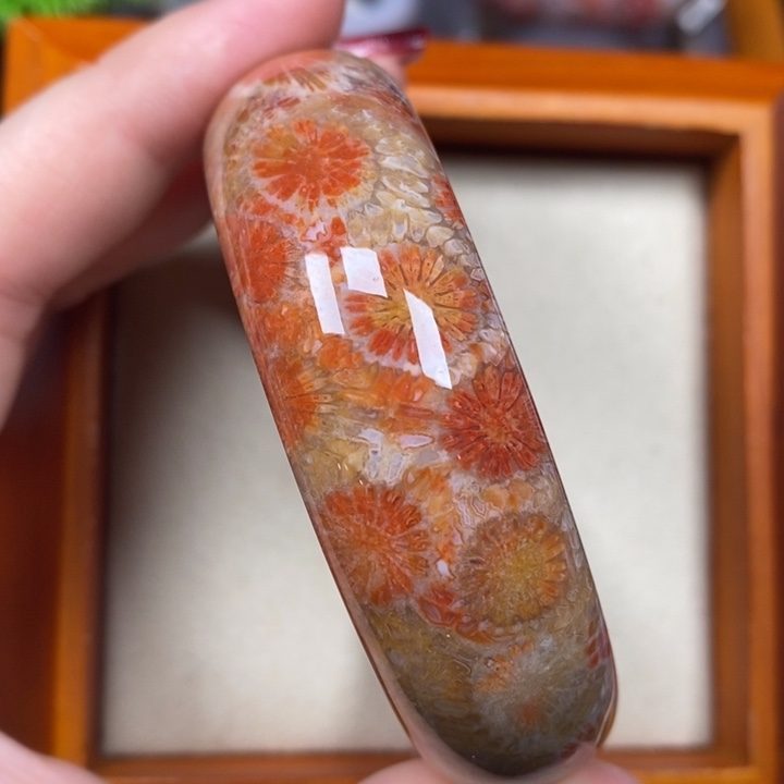 硅化珊瑚（珊瑚玉）手镯未镶嵌56.3