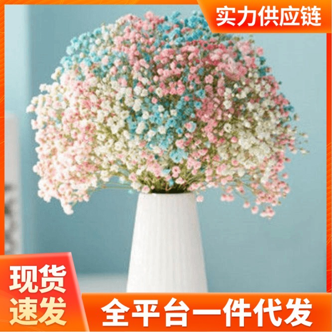 满天星干花花束小清新家摆设装饰客厅办公室摆件风干勿忘我