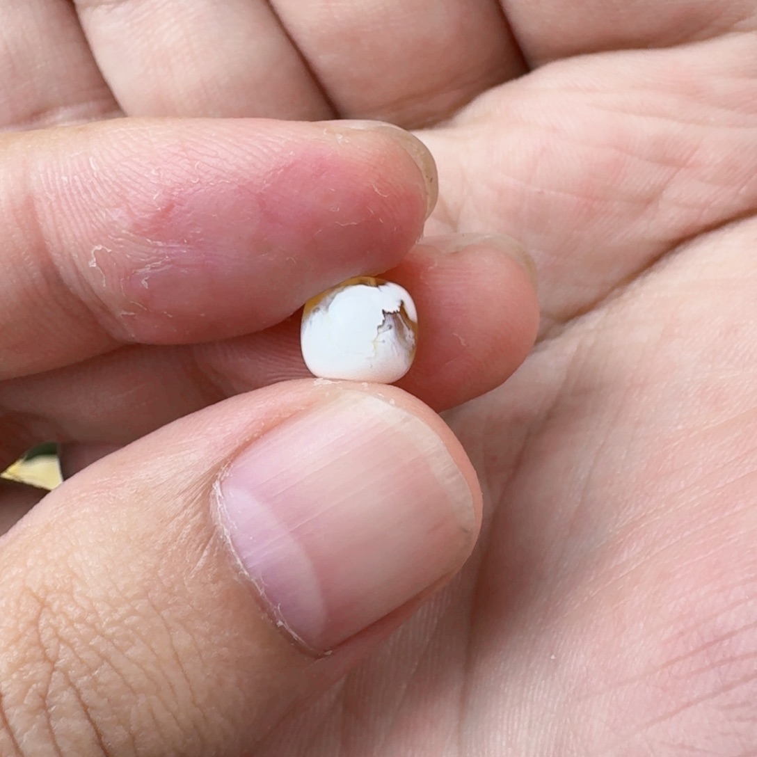 琥珀珠宝奇石未镶嵌是***凡