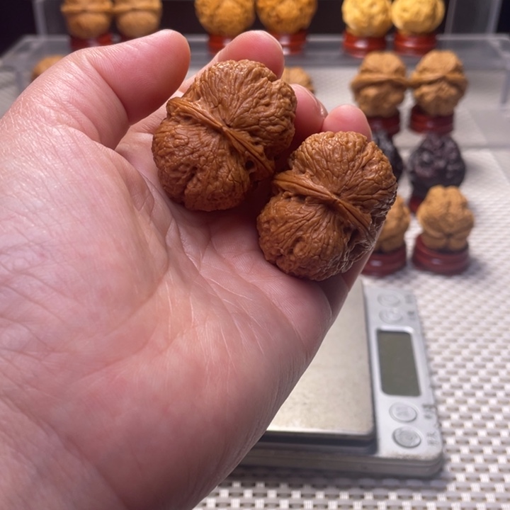 文玩核桃把件13鸿运元宝