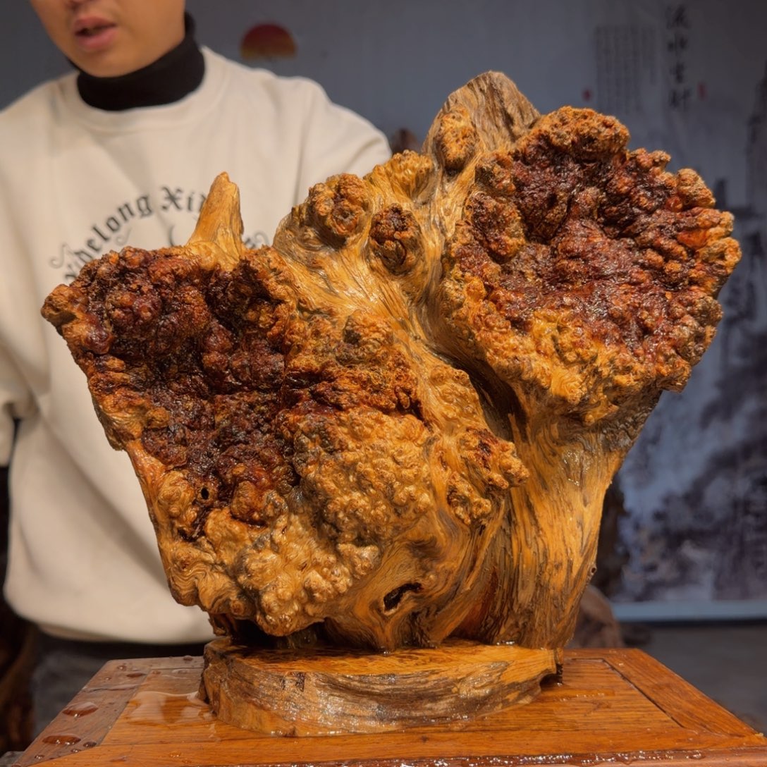 鹰***9木三丰琥珀木 天然摆件117