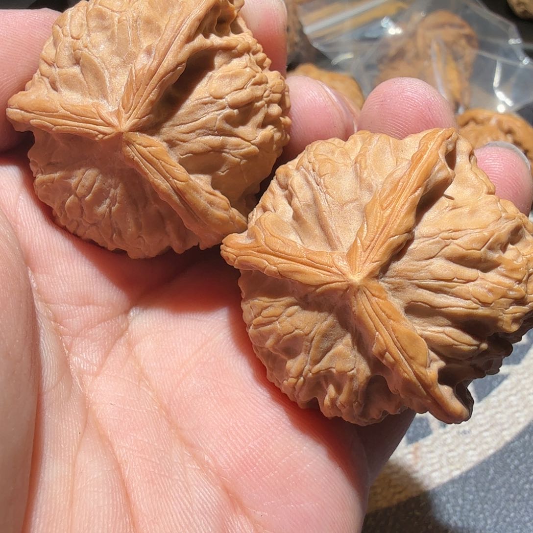 文玩核桃把件金锭元宝正奔