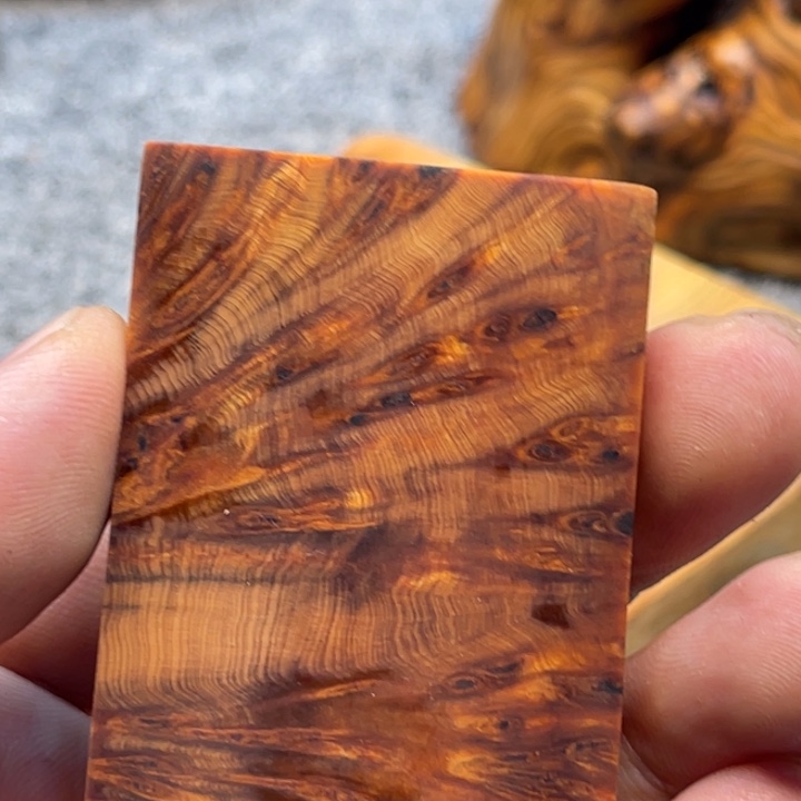 黄***上柏木（崖柏）崖柏09